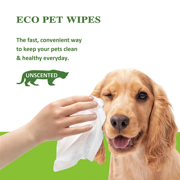 Eco Pet Wipes suppliers
